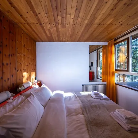 샬레 Chalet Dolomiti